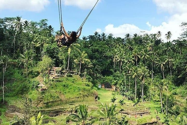 Ayung River White Water Rafting in Ubud — Jungle Swing & Rice Terrace Adventure photo 3