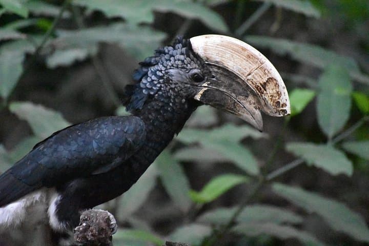 6-Day Mid-Range Safari: Tarangire, Lake Manyara, Serengeti & Ngorongoro photo 1