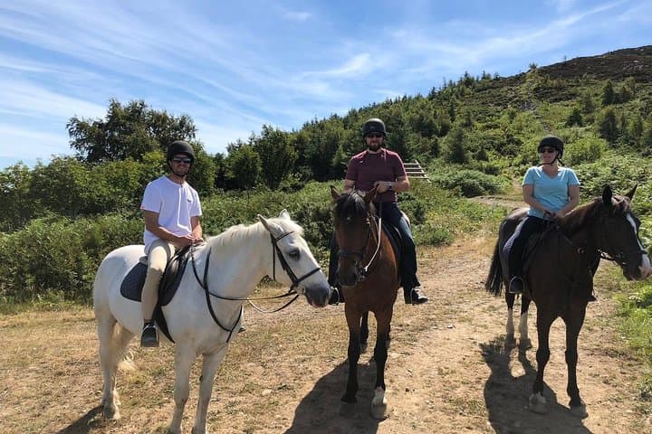 Dublin to Glendalough & Wicklow Horse Riding Day Tour — From Dublin photo 4