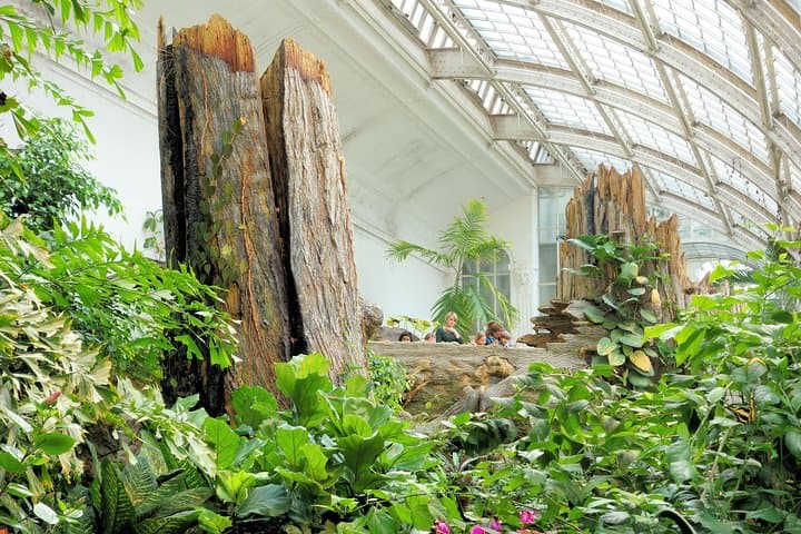 Inside Vienna’s Schmetterlinghaus: Touring the Imperial Butterfly House photo 6