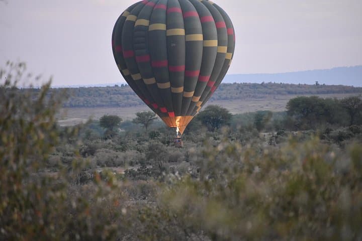 8-Day Ngorongoro & Serengeti Short-Grass Plains Migration Safari (Dec–Mar) photo 4