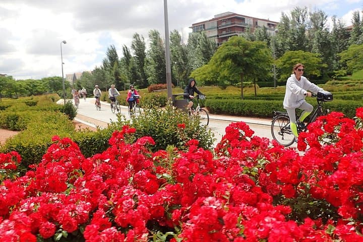 Cycle Madrid's Green Belt: Parque del Oeste, Manzanares & Casa de Campo