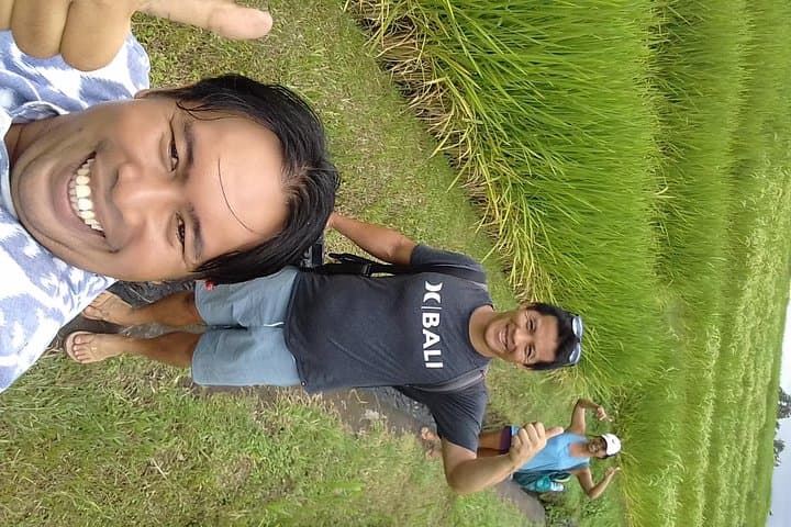Jatiluwih UNESCO Rice Terraces Walk: Guided Two-Hour Trek Through Bali’s Subak Landscape photo 3