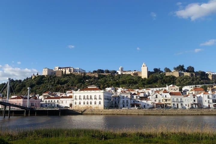 Comporta & the Sado Estuary: A Day Along the Alentejo Coast from Lisbon photo 6
