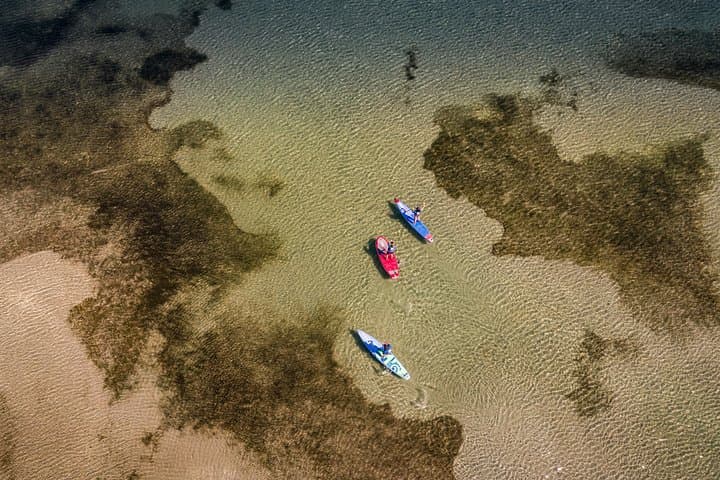 Stand-Up Paddle on Étang de Thau: Explore Sète’s Seagrass Lagoons photo 4