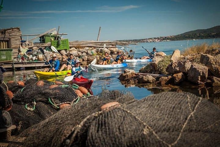 Paddle the Canals of Sète: 3-Hour Sea Kayak Trip in the Languedoc photo 3