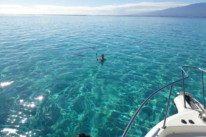 Private Moorea Day Tour: Snorkel Cook & Opunohu Bays with Stingrays and Sharks