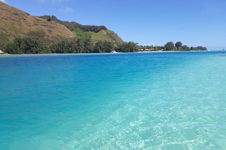 Private Moorea Day Tour: Snorkel Cook & Opunohu Bays with Stingrays and Sharks photo 3