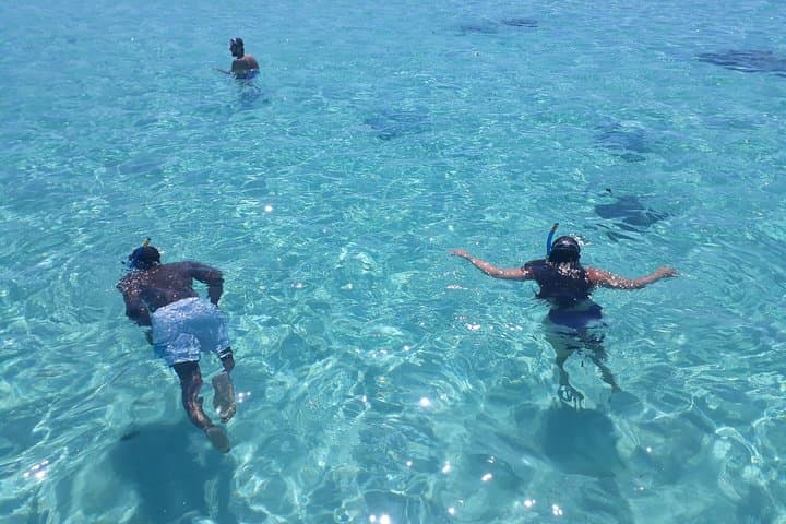 Private Moorea Day Tour: Snorkel Cook & Opunohu Bays with Stingrays and Sharks photo 2