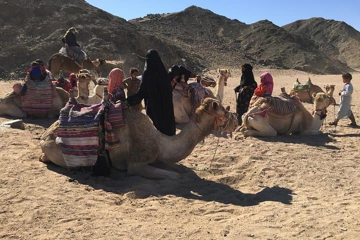 Super Desert Safar: Hurghada Quad-Bike Sunset & Bedouin Camp Experience photo 6