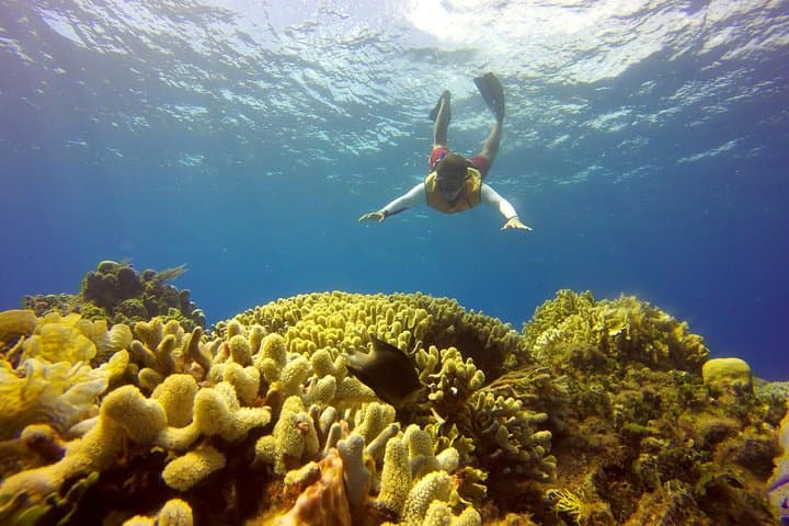 2-Day Caribbean Island Combo: Isla Mujeres & Cozumel Snorkel Tour from Cancun