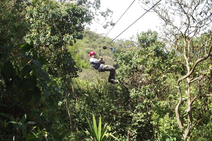 Mindo Cloud Forest Private Day Trip from Quito — Hummingbirds, Orchids & Canopy photo 6