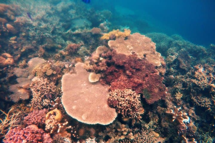 Coron Island Tour B — Barracuda Lake, Twin Lagoon & Snorkeling Day Trip photo 4