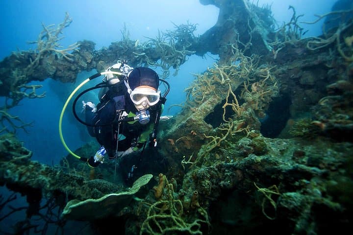 Coron Reefs and WWII Wrecks: One-Day Snorkel & Island Tour