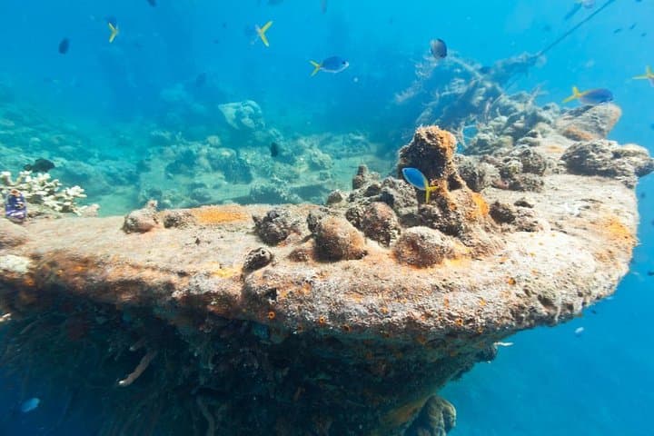 Coron Reefs and WWII Wrecks: One-Day Snorkel & Island Tour photo 2