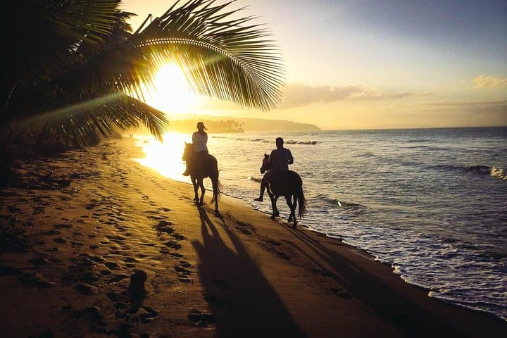 Sunset Horseback Riding on Macao Beach, Punta Cana — Private 2-Hour Experience