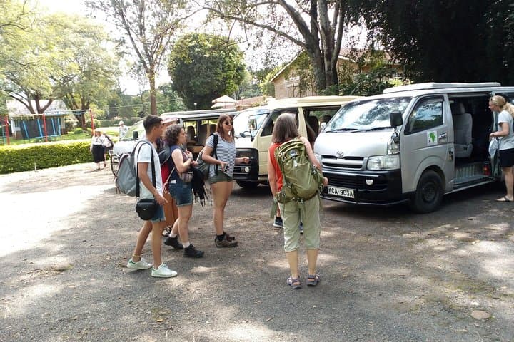 Nairobi Animal Orphanage Half-Day Tour: Wildlife, Logistics & What to Expect photo 4