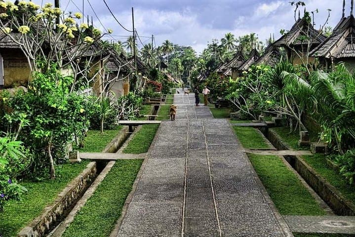 Bali Blessing Tour: Tirta Empul Purification and Mount Batur Lunch from Ubud photo 6