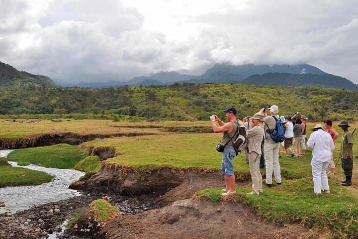 Arusha National Park: Walking and Canoe Safari Day Trip photo 2