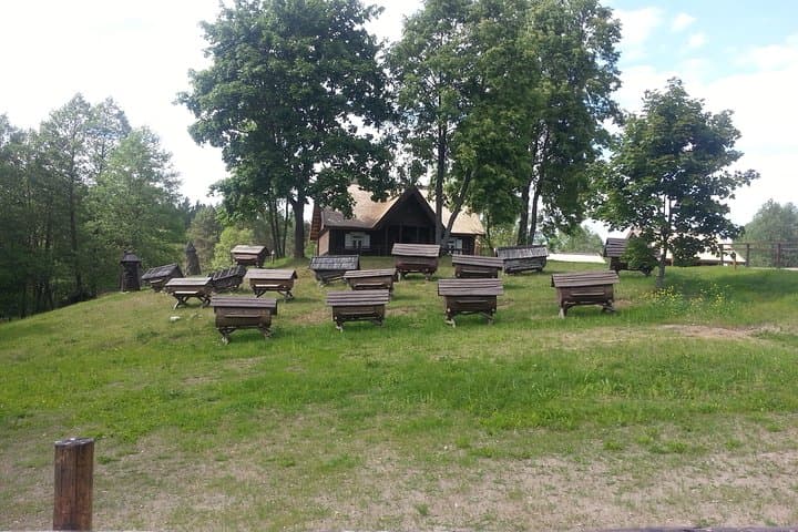 Aukstaitija Full-Day Tour from Vilnius — Lakes, Hillforts & Ethno-Cosmology photo 2