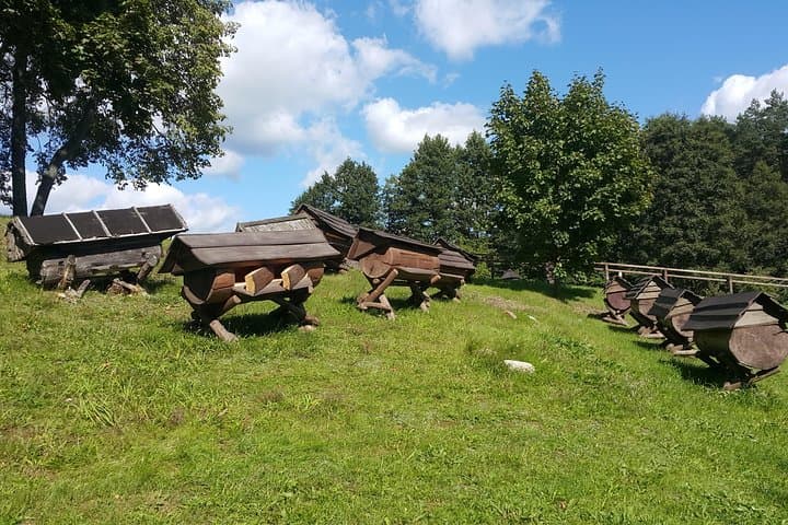 Aukstaitija Full-Day Tour from Vilnius — Lakes, Hillforts & Ethno-Cosmology