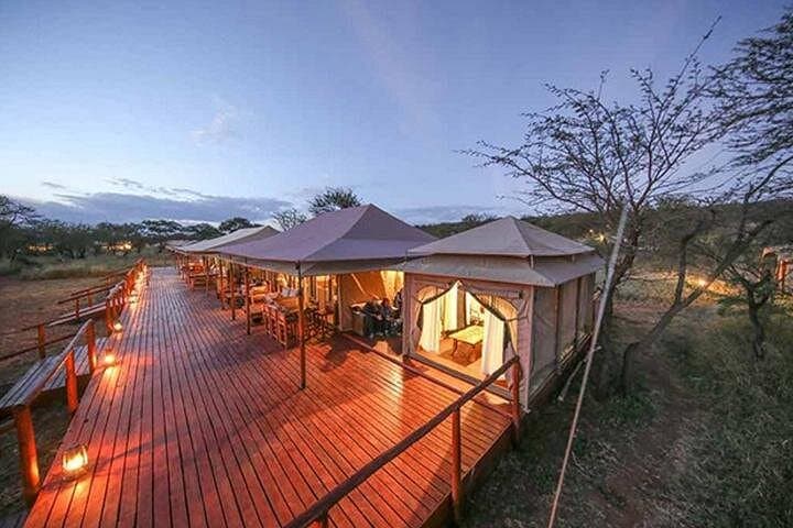 7-Day Great Migration Safari: Mara River Crossing, Ngorongoro & Lake Manyara photo 1