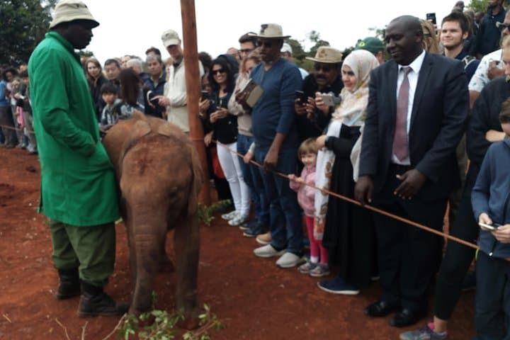 Exploring Nairobi: Wildlife, Culture, and Conservation in One Day photo 5