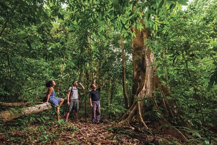 Langkawi Rainforest Trek: 6 km Guided Jungle Walk with Private Pickup photo 4
