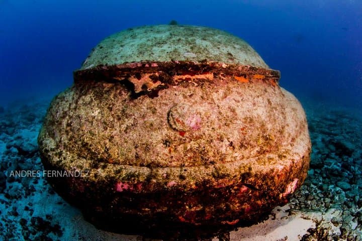 Two-Tank Dive at MUSA & Manchones Reef — Isla Mujeres Underwater Museum Experience photo 3
