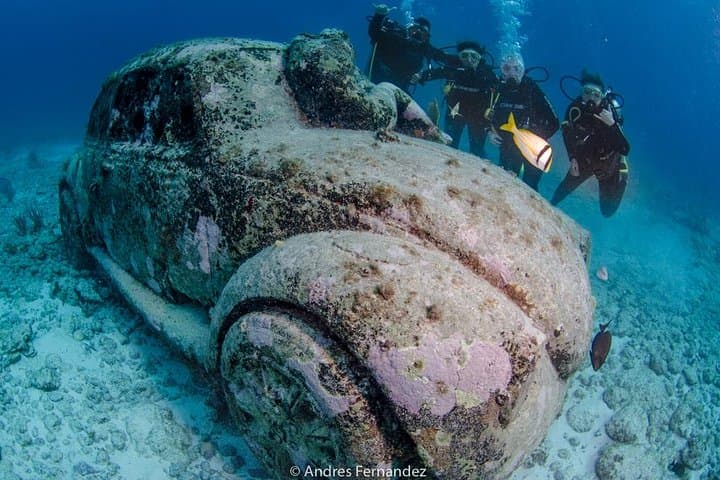 Two-Tank Dive at MUSA & Manchones Reef — Isla Mujeres Underwater Museum Experience photo 5
