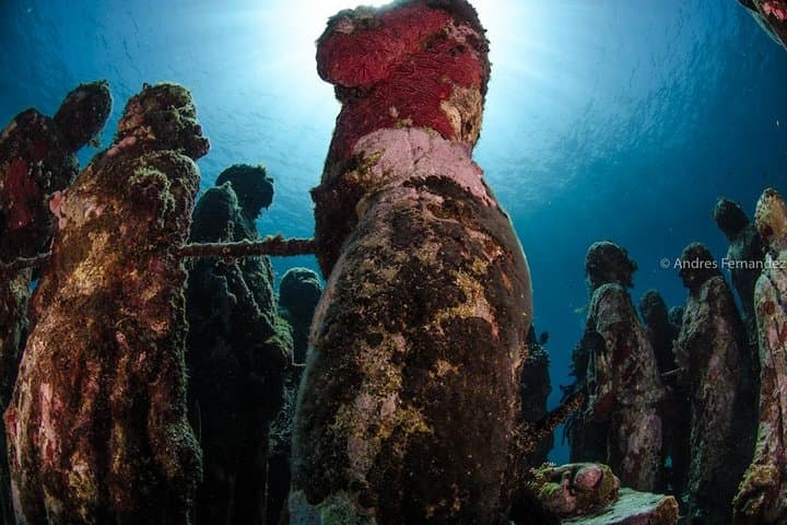Two-Tank Dive at MUSA & Manchones Reef — Isla Mujeres Underwater Museum Experience photo 2
