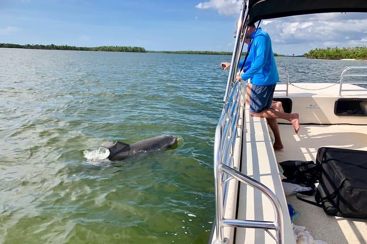 Ten Thousand Islands Dolphin & Shelling Cruise from Goodland (Marco Island) photo 4