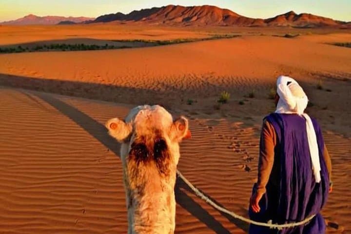 3-Day Private Merzouga Desert Tour from Marrakech — Erg Chebbi Camel Trek & Night in a Bedouin Camp photo 5