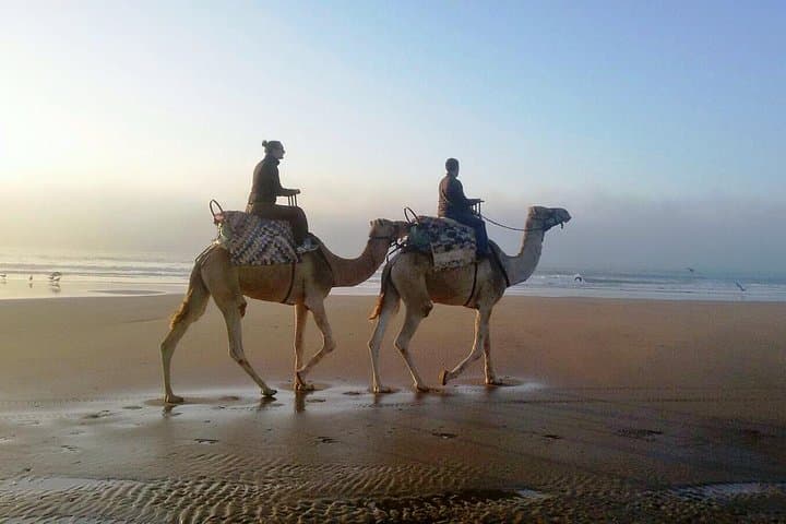 Essaouira Beach Camel Ride: 2-Hour Dunes, Forest & Atlantic Coast photo 6
