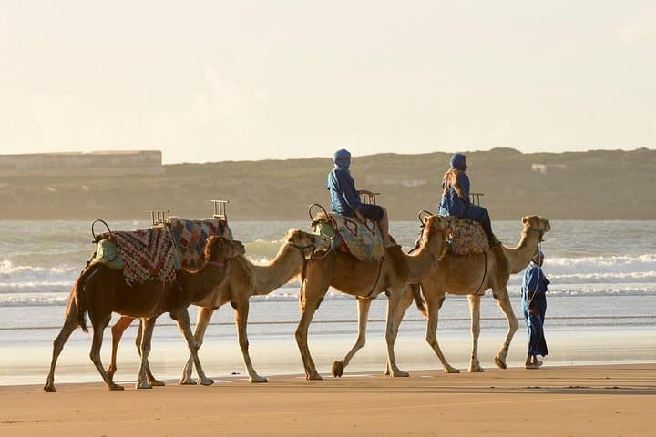 Essaouira Beach Camel Ride: 2-Hour Dunes, Forest & Atlantic Coast