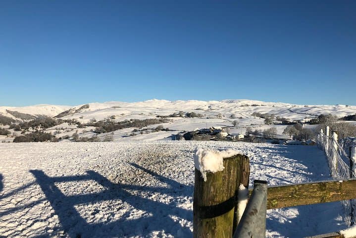 Custom 4-Hour Lake District Scenic Tour from Windermere photo 2
