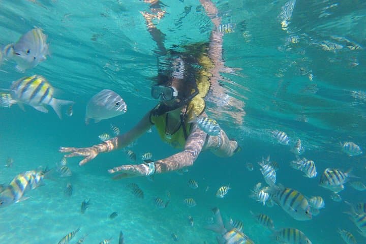Cancun Reef Snorkeling and Parasailing Combo — Sea Turtles to Sky-High Views photo 5