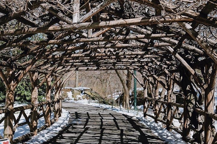 Central Park Private Guided Walking Tour: Iconic Sights & Stories (2.5 hr) photo 2