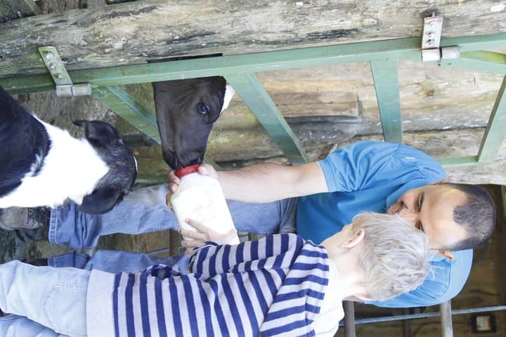 Monteverde Farm Day at El Terruño de los Torres: Coffee, Animals & Cloud Forest Walks photo 2