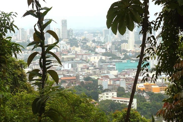Metropolitan Park and Ancon Hill: Panama City Urban Forest Hike photo 6