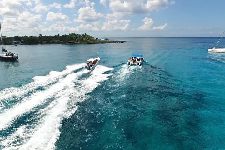 Saona Island Excursion: Catamaran and Speedboat Day Trip from Punta Cana photo 4