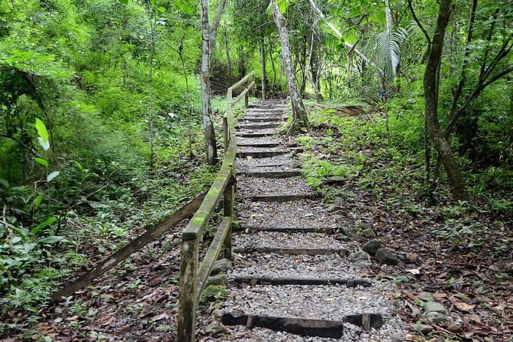 Metropolitan Park and Ancon Hill: Panama City Urban Forest Hike