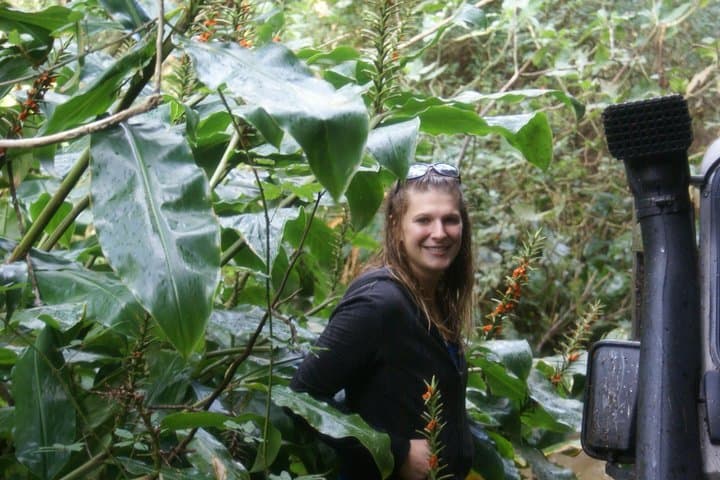 Terceira Mud Adventure: Off‑Road Jeep Tour & Lunch in the Azores Interior photo 6