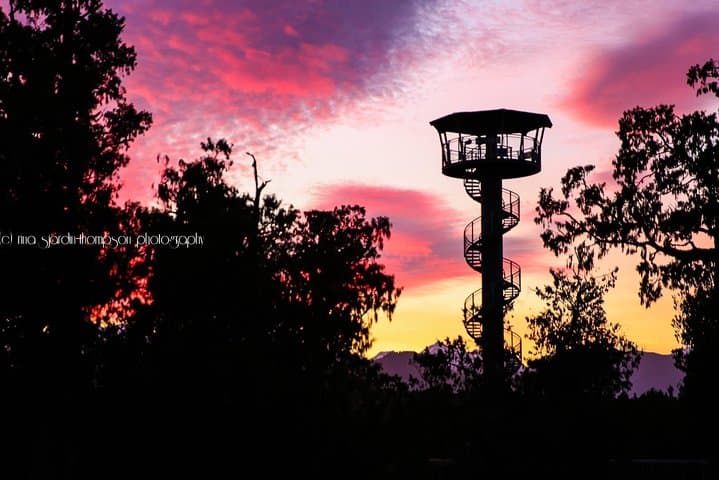 West Coast Treetop Walk - Lake Mahinapua Canopy Experience photo 2