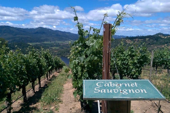 Private 6-Hour Napa or Sonoma Wine Tour in a Stretch Limousine photo 6