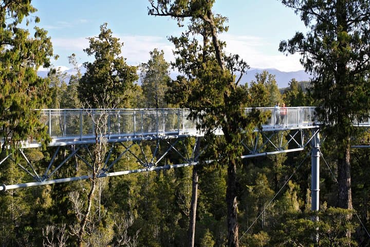 West Coast Treetop Walk - Lake Mahinapua Canopy Experience photo 5