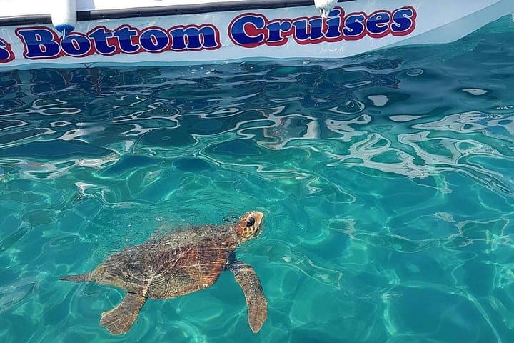 Glass-Bottom Cruise to Turtle Island & Keri Caves — Zakynthos Day Tour