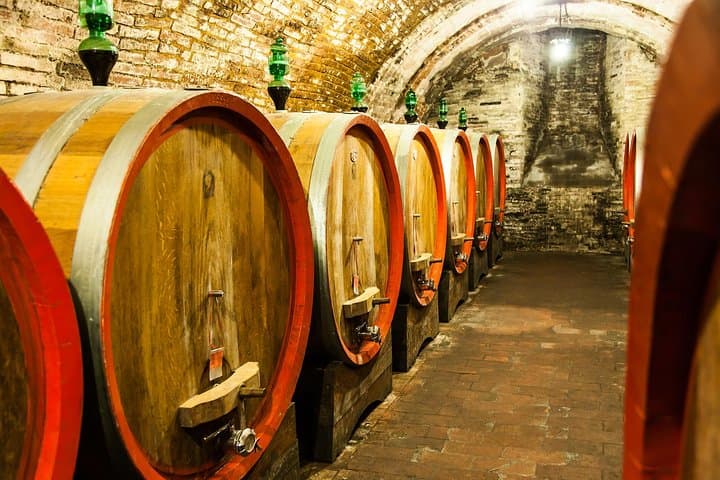 Napa Valley Wine Tasting Day Trip from San Francisco — Private 8-Hour Tour photo 4