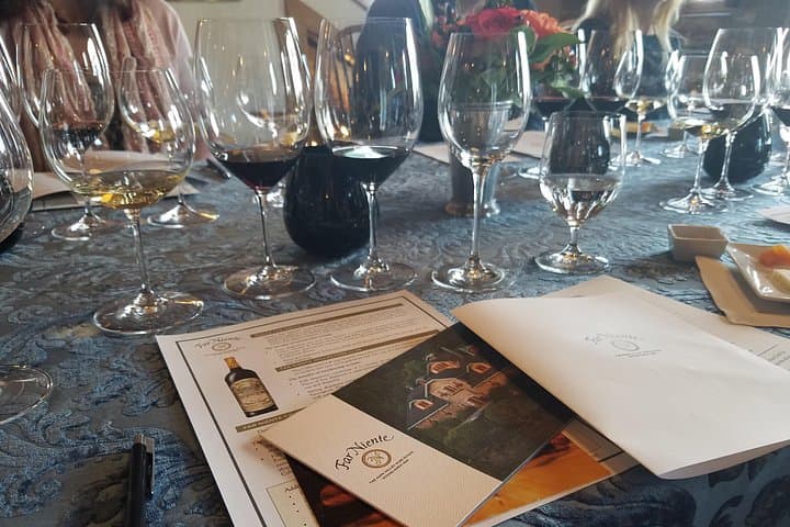 Private 8-Hour Napa Valley Wine Tasting Tour — Chauffeured Wine Country Experience photo 5
