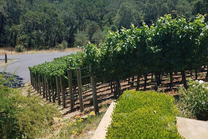 Napa Limo Wine Tour — 6-Hour Corks & Castles Private Tasting Experience photo 4